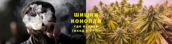 прущие грибы Иноземцево