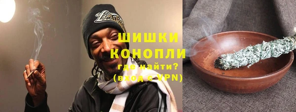прущие грибы Иноземцево
