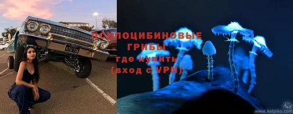 стафф Кущёвская