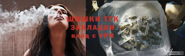 стафф Кущёвская