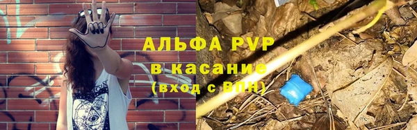 стафф Кущёвская