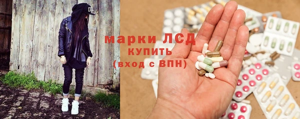 прущие грибы Иноземцево
