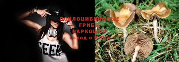 стафф Кущёвская