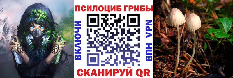 Галлюциногенные грибы мухоморы  дарнет шоп  Сыктывкар 