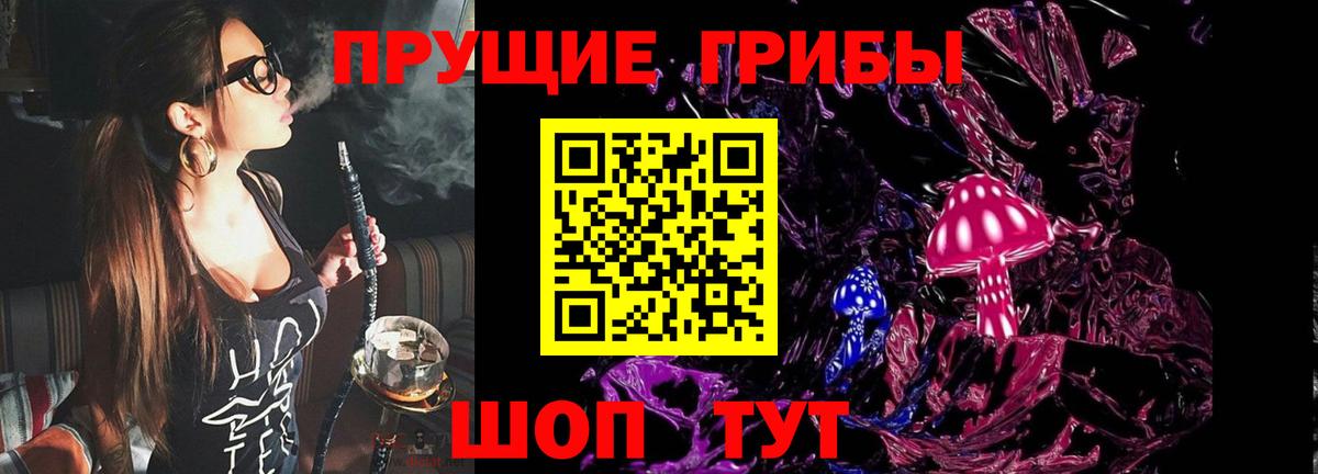 Сыктывкар  Псилоцибиновые грибы мухоморы  Вход с VPN 