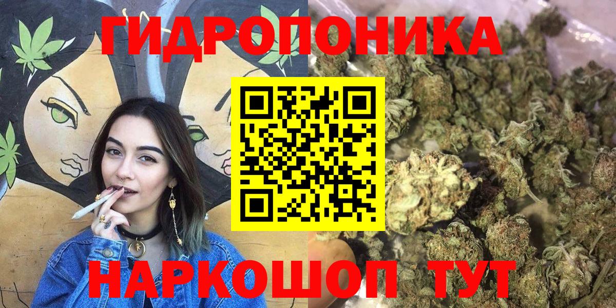 Бошки марихуана гибрид Сыктывкар